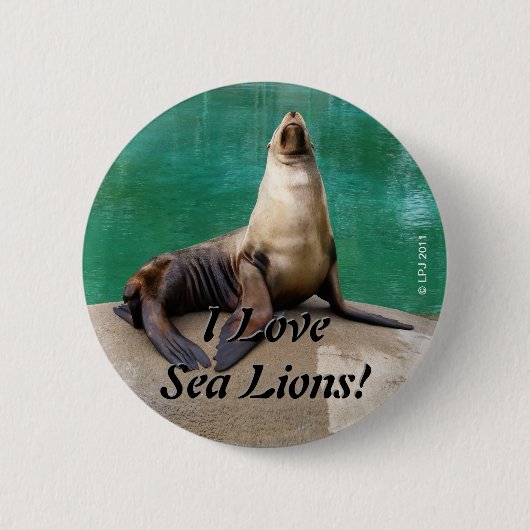 Zee Lion Button (Voorkant)