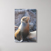 Zee Lion Canvas Afdruk (Voorkant)