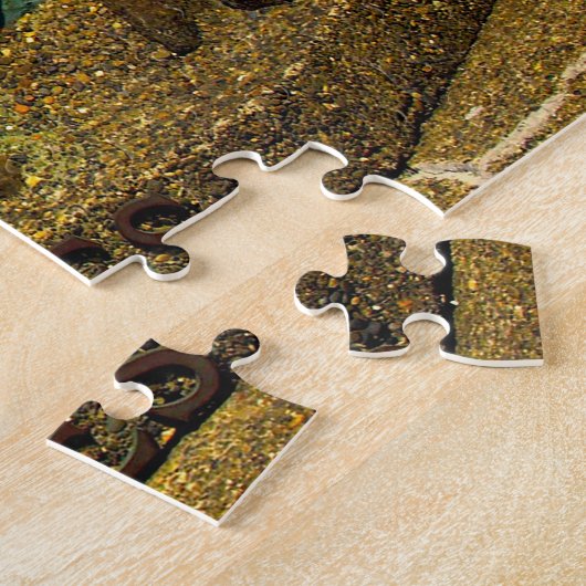 Zee Lion Cave Oregon. Legpuzzel (Zijkant)