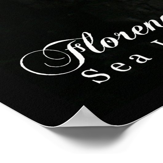 ZEE LION CAVES POSTER (Hoek)