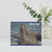 Zee Lion - Chin Up! -Briefkaart Briefkaart (Staand voorkant)
