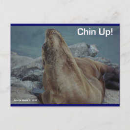 Zee Lion - Chin Up! -Briefkaart Briefkaart