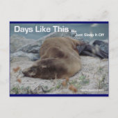 Zee Lion - dagen zoals deze - Briefkaart (Voorkant)