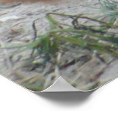 Zee Lion - dagen zoals deze - Poster (Hoek)