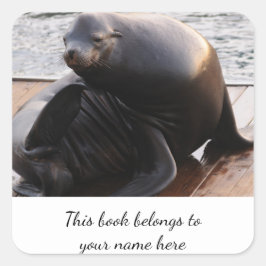 Zee Lion "Dit boek behoort tot" sticker