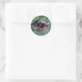 Zee Lion in het spel Ronde Sticker (Tas)