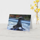 Zee Lion Kaart (Gele Bloem)