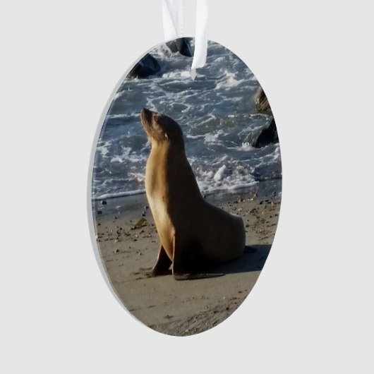 Zee Lion kerstversiering Ornament (voorkant)
