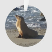 Zee Lion kerstversiering Ornament (voorkant)