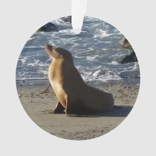 Zee Lion kerstversiering Ornament (voorkant)