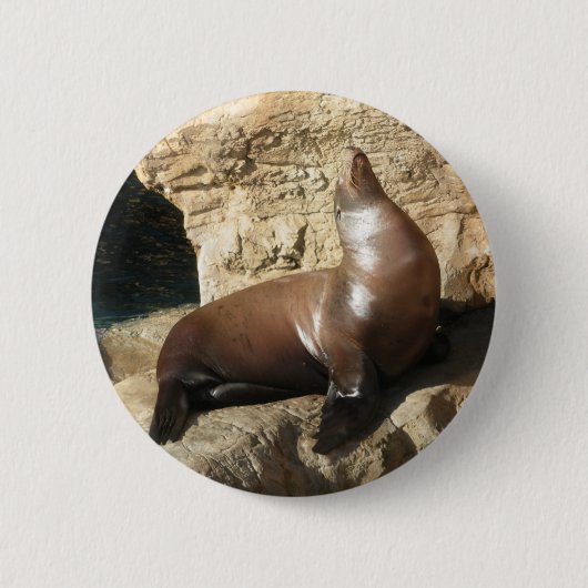 Zee Lion knop Ronde Button 5,7 Cm (Voorkant)