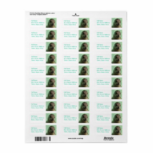 Zee Lion met Fish Return Address Label (Full Sheet)
