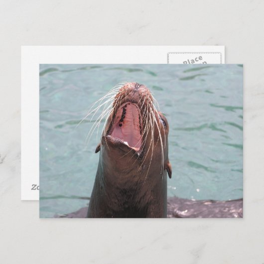 Zee Lion Mouth Open Briefkaart (Voorkant / Achterkant)