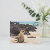 Zee Lion op de Galapagos eilanden Ecuador Briefkaart (Staand voorkant)