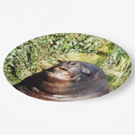 ZEE LION PAPIEREN BORDJE (Gekanteld)