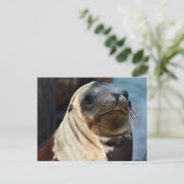 Zee Lion Portrait Briefkaart (Staand voorkant)