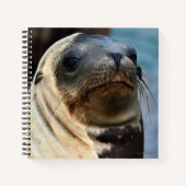 Zee Lion Portrait Notitieboek (Voorkant)