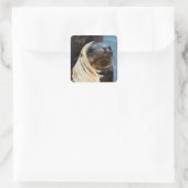 Zee Lion Portrait Vierkante Sticker (Tas)