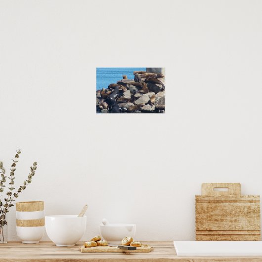 Zee Lion Poster (Keuken)