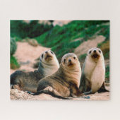 Zee Lion Pups, Jigzaag Puzzle Legpuzzel (Horizontaal)