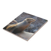 Zee Lion Tegeltje (Zijkant)