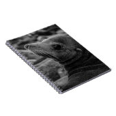 Zee Lion Terugkijken - Schattigee Wildlife Fotogra Notitieboek (Rechterzijde)