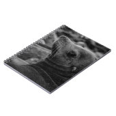 Zee Lion Terugkijken - Schattigee Wildlife Fotogra Notitieboek (Linkerzijde)