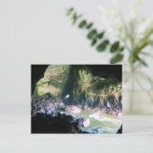 Zee liongrot, OF Briefkaart (Staand voorkant)