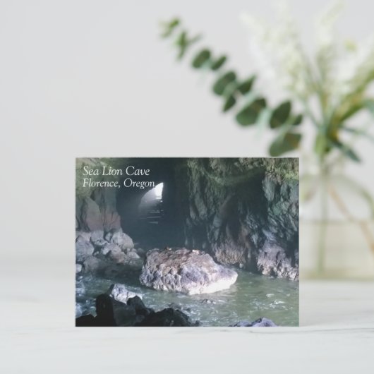 Zee liongrot, OF Briefkaart (Staand voorkant)