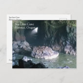 Zee liongrot, OF Briefkaart (Voorkant / Achterkant)