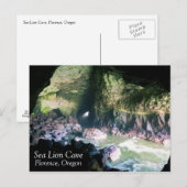 Zee liongrot, OF Briefkaart (Voorkant / Achterkant)