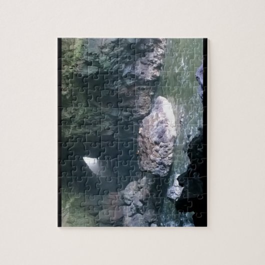 Zee liongrot, OF Legpuzzel (Verticaal)