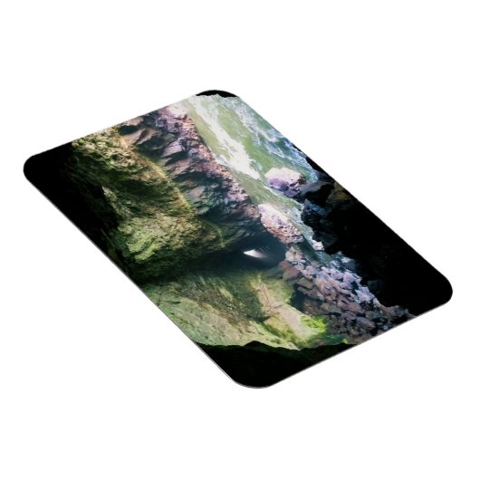 Zee liongrot, OF Magneet (Rechterzijde)