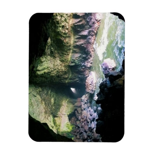 Zee liongrot, OF Magneet (Verticaal)