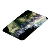 Zee liongrot, OF Magneet (Linkerzijde)