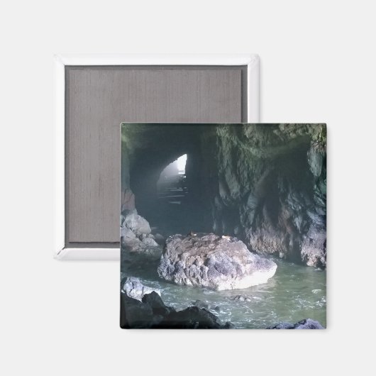 Zee liongrot, OF Magneet (Voorkant / Achterkant)