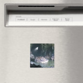 Zee liongrot, OF Magneet (Insitu (Vaatwasser))