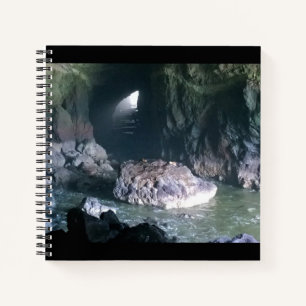 Zee liongrot, OF Notitieboek