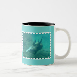 Zee Lions Aqua Mok