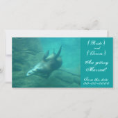 Zee Lions  Deze datum opslaan Fotokaart Save The Date (Voorkant)