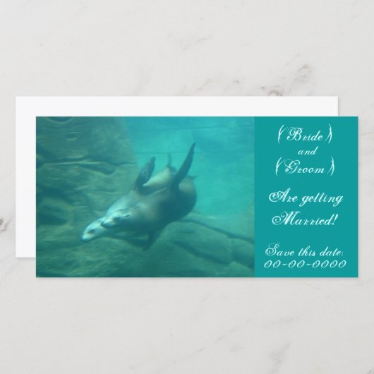 Zee Lions  Deze datum opslaan Fotokaart Save The Date (Voorkant / Achterkant)