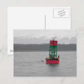 Zee Lions in Juneau, Alaska Briefkaart (Voorkant / Achterkant)