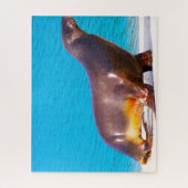 Zee Lions Legpuzzel (Verticaal)