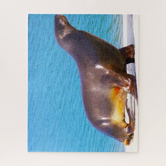 Zee Lions Legpuzzel (Verticaal)