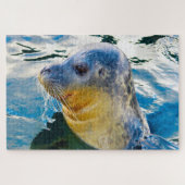 Zee Lions Legpuzzel (Horizontaal)