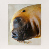 Zee Lions Legpuzzel (Verticaal)