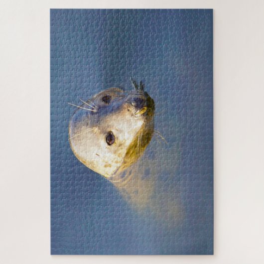 Zee Lions Legpuzzel (Verticaal)