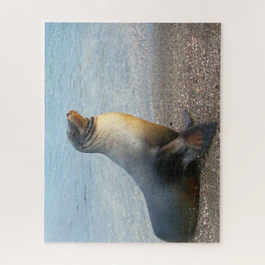 Zee Lions Legpuzzel (Verticaal)