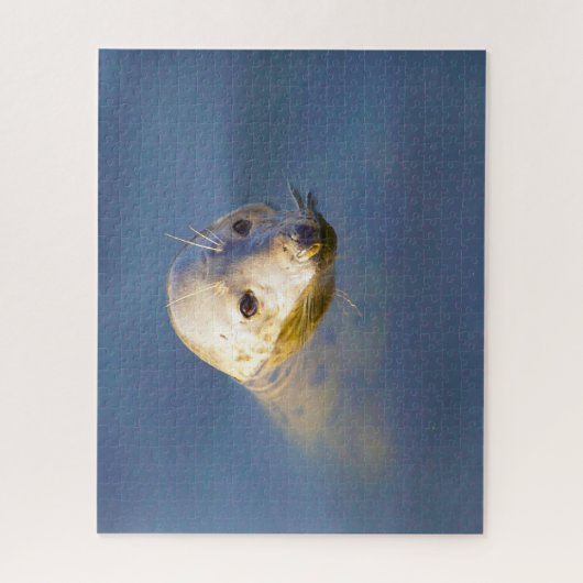 Zee Lions Legpuzzel (Verticaal)