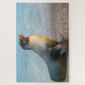 Zee Lions Legpuzzel (Verticaal)